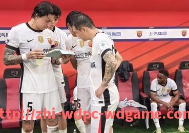 问鼎娱乐官方网站-德甲降级球队球迷如何给予支持与鼓励的感人故事